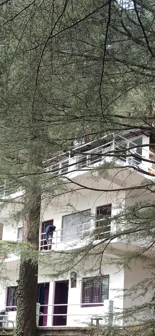 Himalayan Triund Trekking And Mountain View Hostel Dharamshala Exterior photo